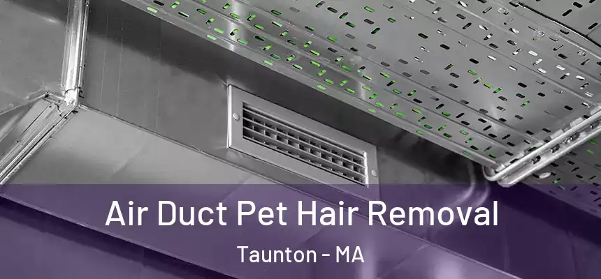  Air Duct Pet Hair Removal Taunton - MA