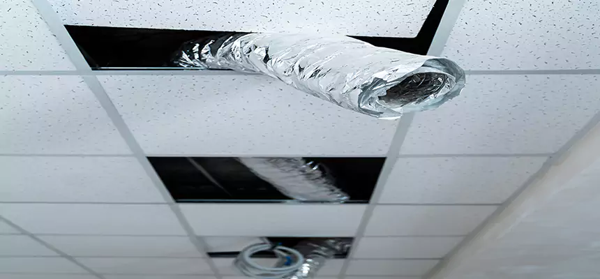 Affordable HVAC Sanitizing After Pest Removal in Taunton