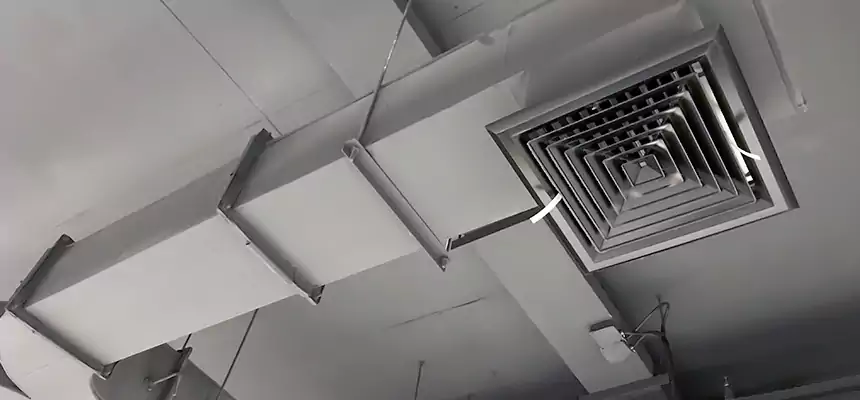 Restorative Allergy Relief Vent Cleaning – Coil, Blower & Housing Detail in Taunton