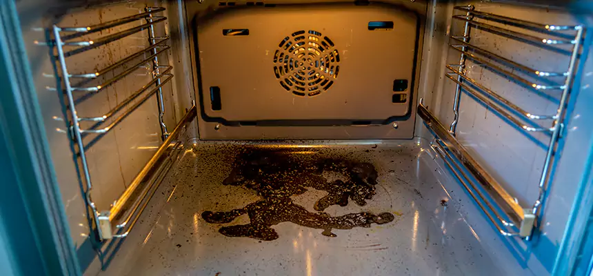 Our Dryer Vent Mold Cleaning Services in Taunton, MA