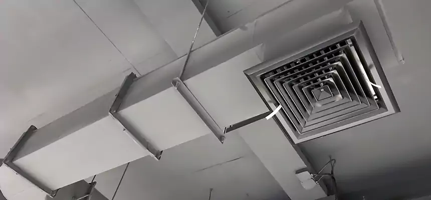 Our Pest Removal From Ducts Services in Taunton, MA