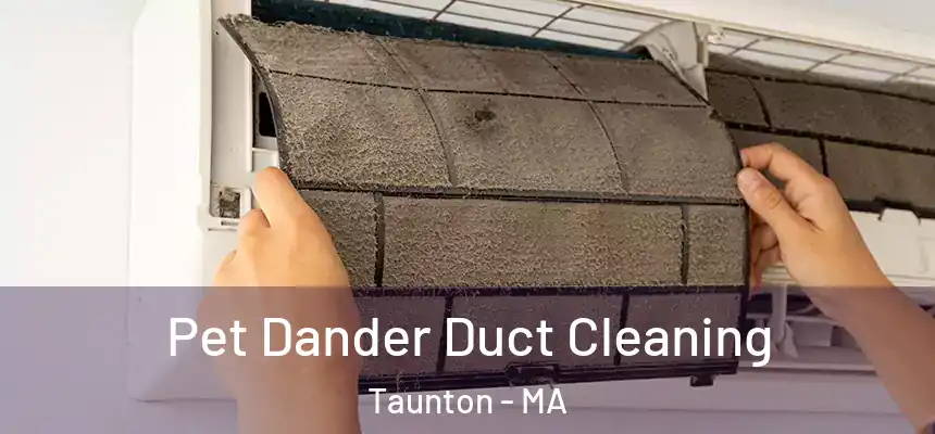  Pet Dander Duct Cleaning Taunton - MA