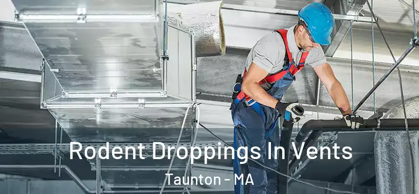  Rodent Droppings In Vents Taunton - MA