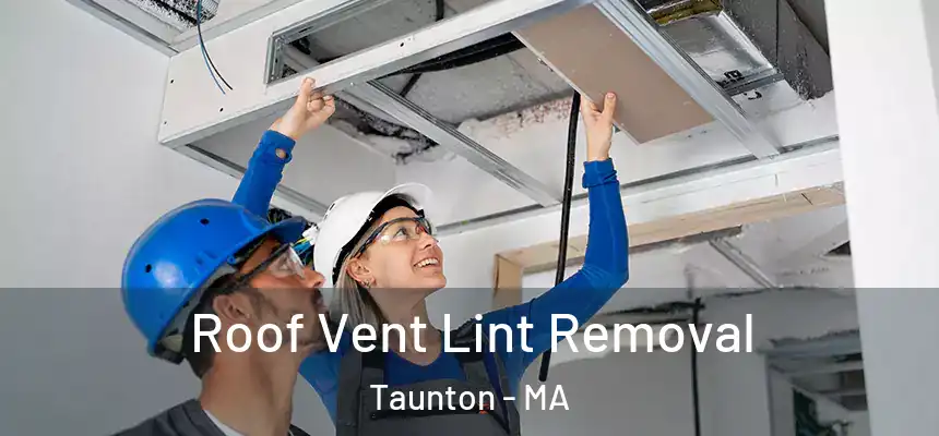  Roof Vent Lint Removal Taunton - MA