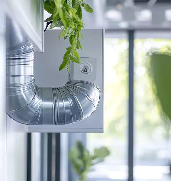 Professional Eco-Safe Dryer Vent Cleaning in Taunton, MA