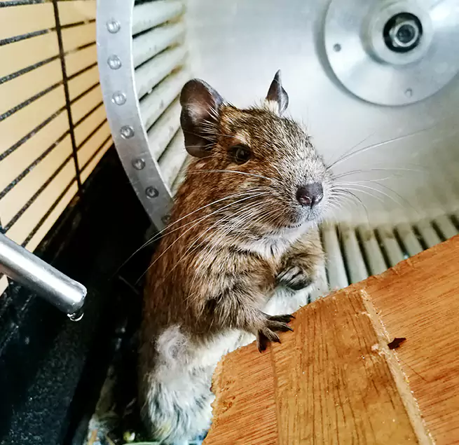 Why Homeowners & Businesses Trust Us Taunton, MA