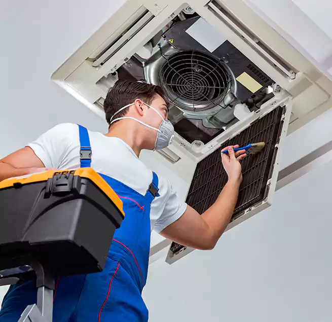 Why Homeowners & Businesses Trust Us in Taunton, MA