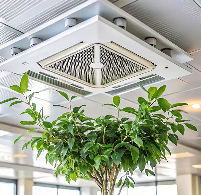 Why Homeowners & Businesses Trust Us in Taunton, MA