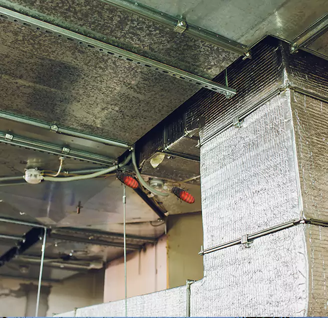 Why Homeowners & Businesses Trust Us Taunton, MA?