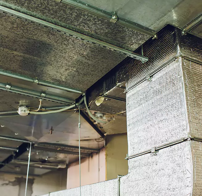 Why Homeowners & Businesses Trust Us in Taunton, MA?